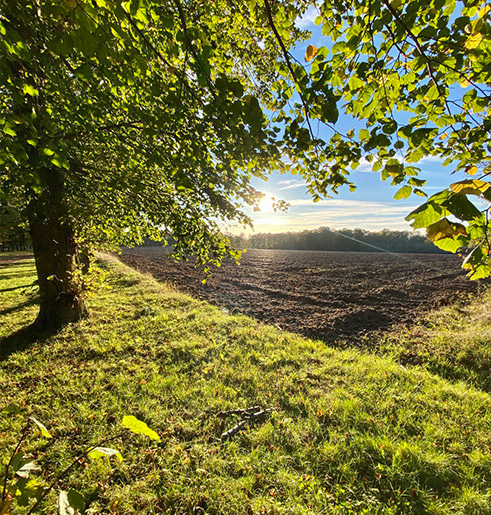 environnemental environnemental